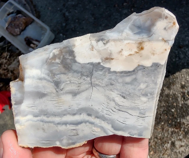 rawk11: Rare FRYITE Jasper slab-Highly Silicified Patterns-Snake River Idaho!