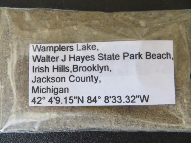 Michigan Wamplers Lake Sand Sample