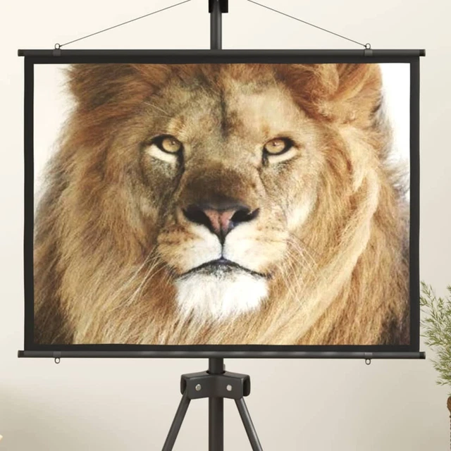 Projection Screen 127  4:3 V5A4