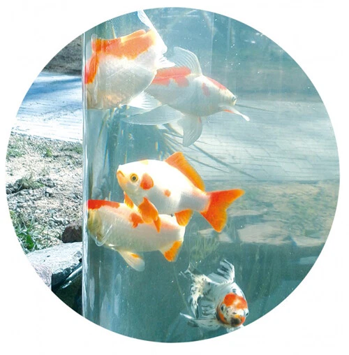 MAUK GOLDFISCH KOI Fischturm Fisch Aussichtsturm Fischsäule Teichsäule