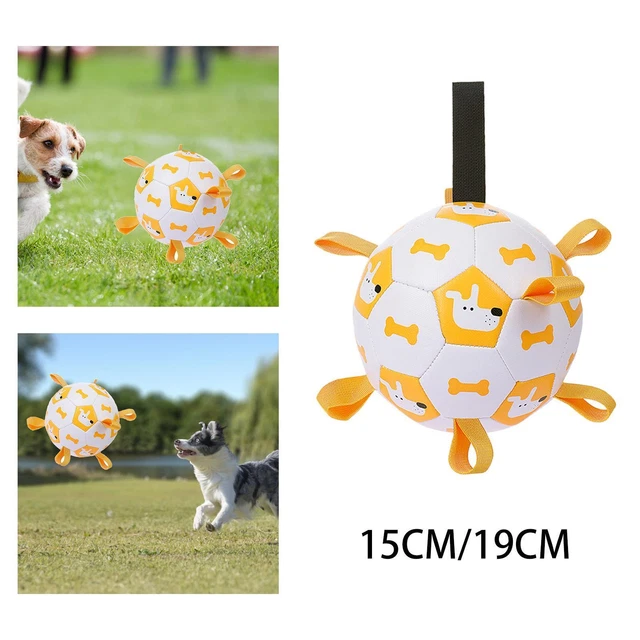 Hunde Fußball, quietschendes Spielzeug, Training, Spielen, Tauziehen,