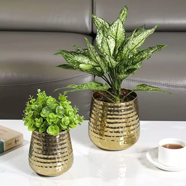 Indoor Plant Pot w/ Hammered Design, Brass Metal Succulent Planter, 2 Piece Set