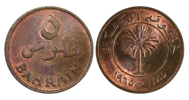 O575, Bahrain 5 Fils 1965 (1385) UNC!