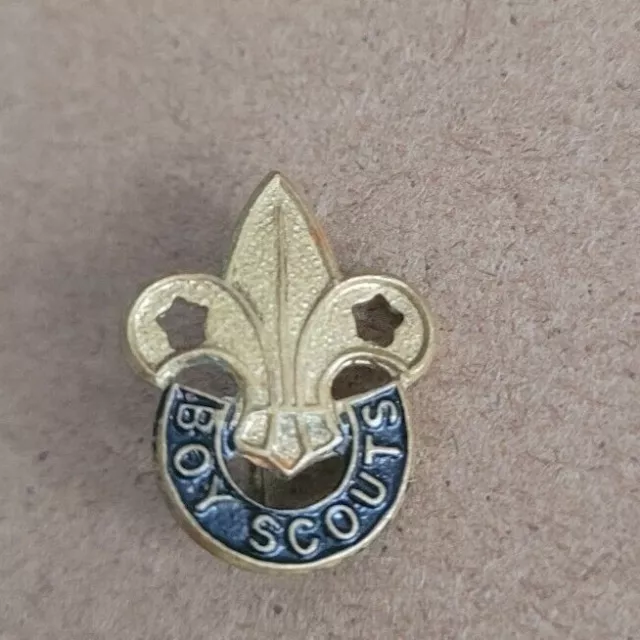 Boy Scouts Vintage Badge