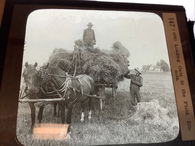 Glass Magic Lantern Slide Antique Photo Loading Oats Farmer Illinois C1920