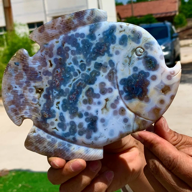 345G  Amazing Natural Ocean Jasper Crystal Carved Fish Jasper Halo Stone 4