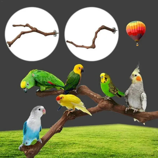 Spielzeug Barsch-Plattform-Ständer Holz Papagei Vogel Stand Papagei Holzzweig