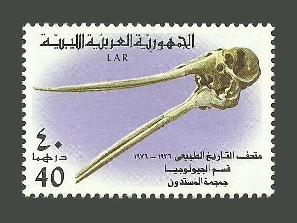 Libya Stamps 1976 Natural History Museum - 40Dh Stamp - MNH