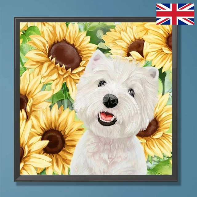 Kit Uncinetto Per Tappeto Fai Da Te - Motivo Cane Orsacchiotto, 50 Cm - Foto 10