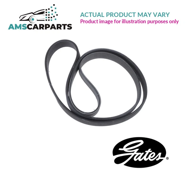 DRIVE BELT MICROV Multi Ribbed Belt 6215Mc Gates New Oe Replacement £