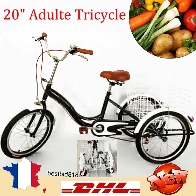Tricycle Adulte 24 Pouces - 6 Vitesses, Freins V-Brake, Panier - Neuf - Capacité 120kg