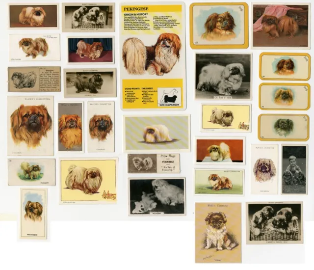 Pekingese Collection Of 29 Dog Collectable Cigarette And Trade Cards