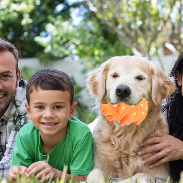 PIG SQUEAKY DOG Toy Interactive Rubber Pig Dog Chew Toy Training Puppy