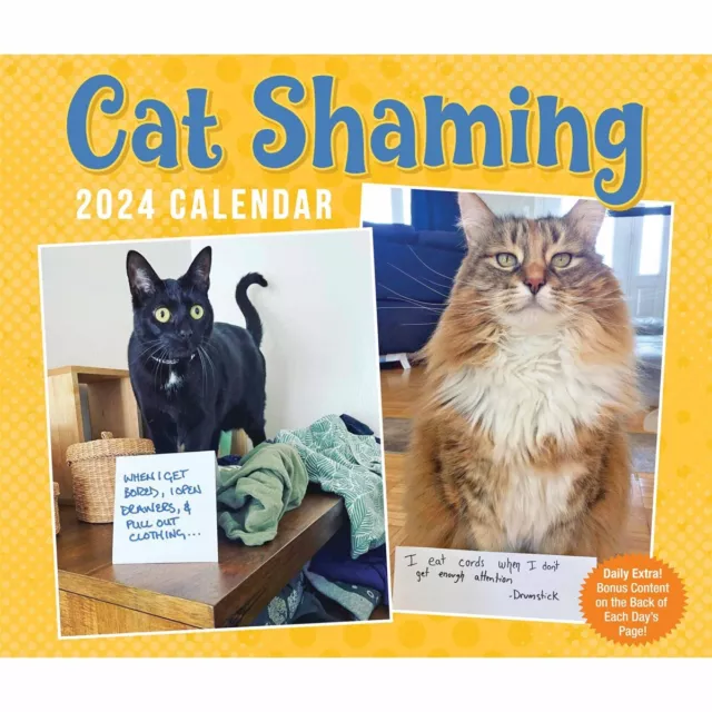 CAT SHAMING DESK Calendar 2024 Humour Day To View £16.98 PicClick UK
