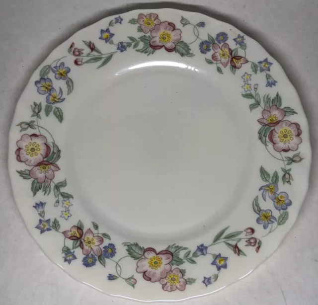 Lot93 De 6 Petites Assiettes Plates Vintage Arcopal France D 20cm Décor Floral