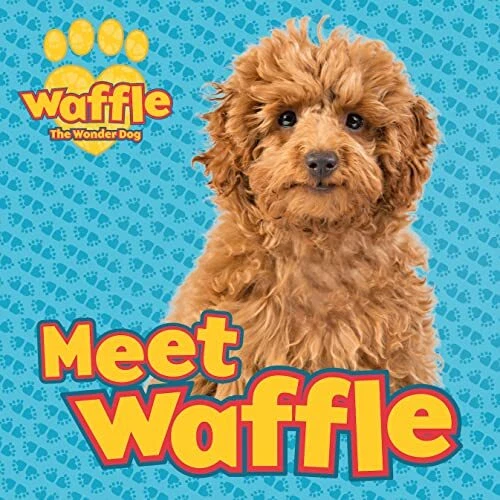 MEET WAFFLE!: 1 (Waffle the Wonder Dog), Scholastic EUR 10,02 - PicClick FR