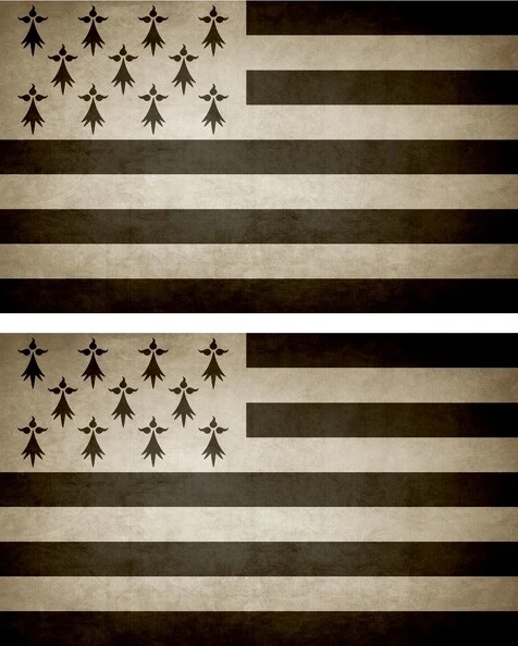 Akachafactory 2X Autocollant Sticker Drapeau Coeur Paris