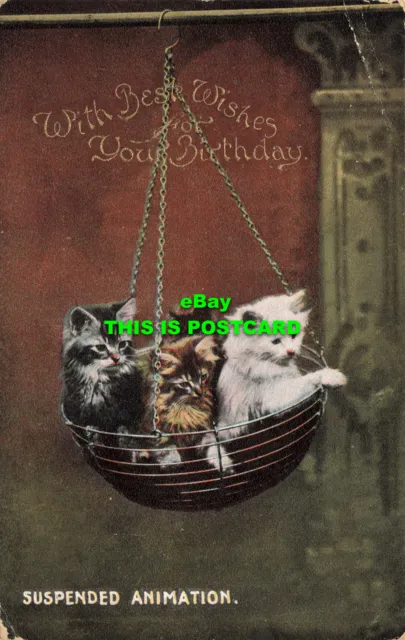 R565616 With Best Wishes for Your Birthday. Suspended Animation. Wildt and Kray.
