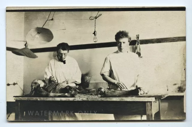 1900s RPPC Postcard Photo Macabre Medical School Dissection of Cadaver Autopsy
