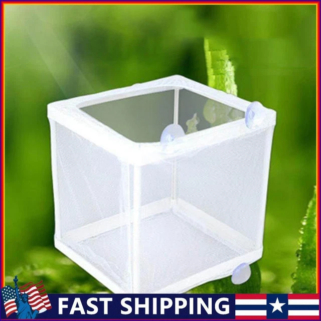 Aquarium Guppy Breeding Gauze Trap Box Tank Fish Baby Isolator Incubator Breeder