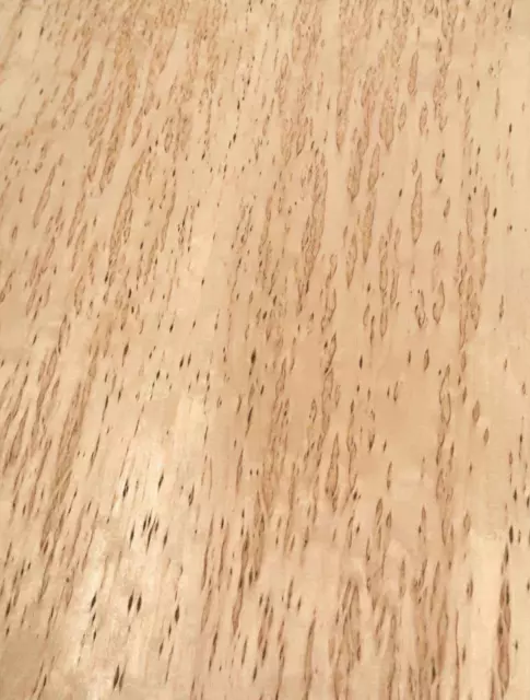 Máser de abedul chapa de madera abedul abedul incrustación 1G 90x18-19cm 2 hojas