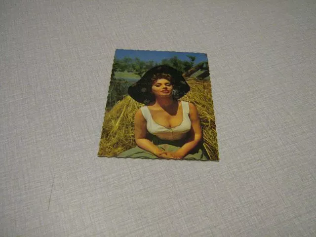 Sophia Loren Carte Postale Hollande 1007