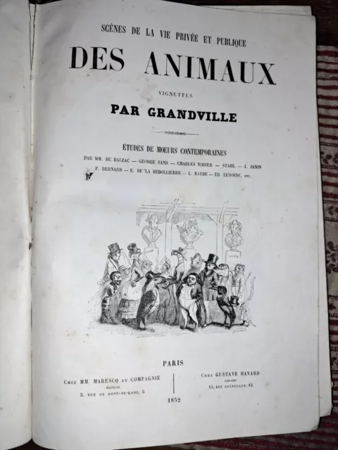 Scènes de la vie privée et publique des animaux - Granville - Havard - 1852