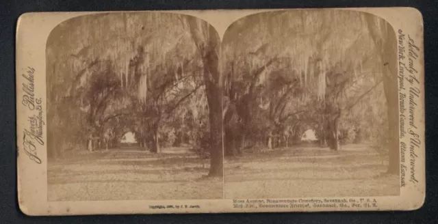 Stereo-Fotografie J. F. Jarvis, Washington, Ansicht Savannah / GA, Moss Avenue,