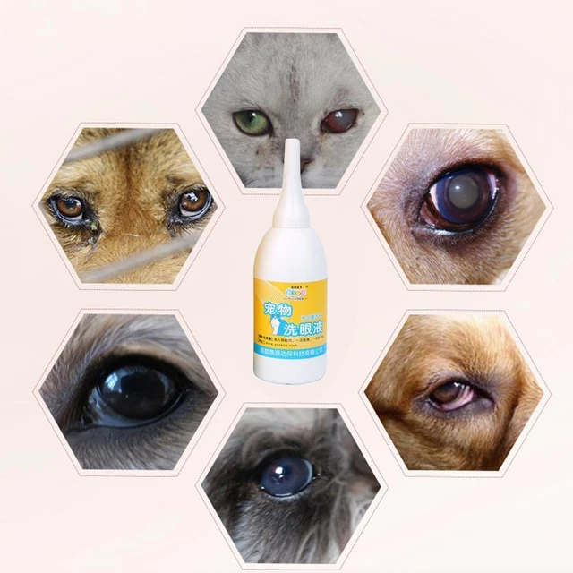 Pet Dog Cat Eye Drops Anti-Inflammatory Tear Stain Improve Best R1F0