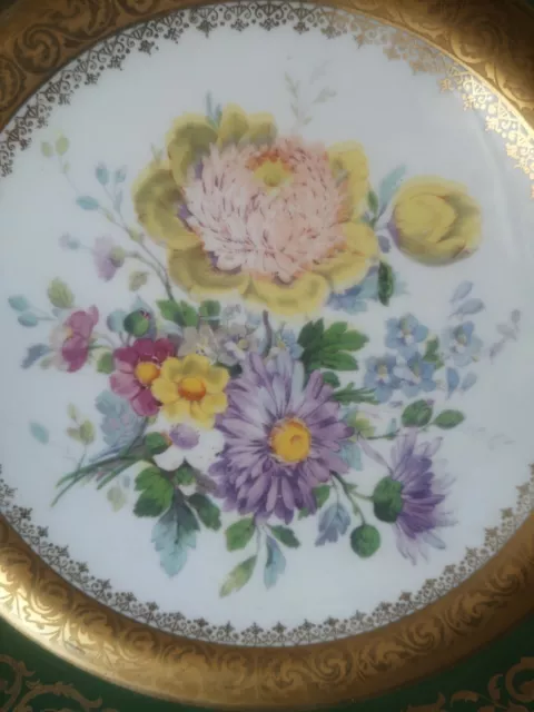 Belle ancienne assiette decorative porcelaine France 2