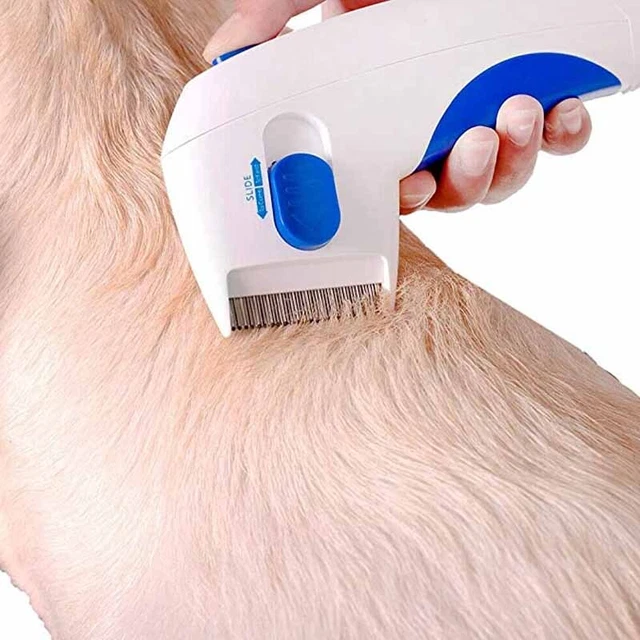 Electric Dog Cat Pet Brush Professional Comb Anti Flea Head Lice Removal Pet US 3