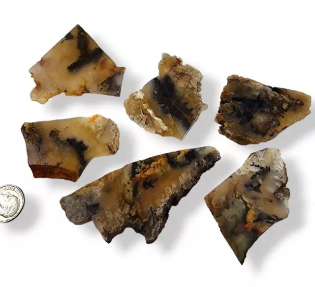 Plume Agate Slabs Oregon 108 grams Lapidary