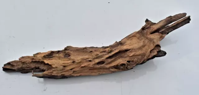 driftwood Natural Tree Trunk Aquarium Fish Tank Reptile Deco Length 12 inches