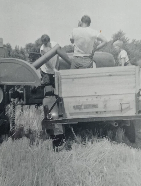 c.1950's Small Wheat Harvest Family Truck Farm Cowboy Vintage Antique Photo
