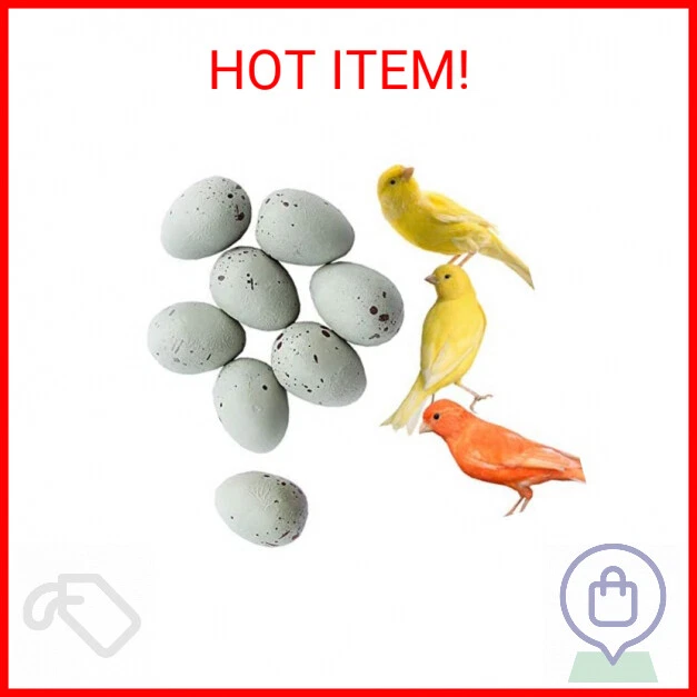 FOIBURELY 8 Pcs Solid Canary Plastic Eggs Hatching Eggs Trick The Birds to Stop