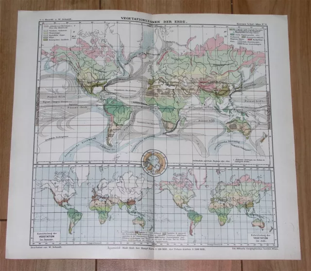 1901 Antique  Map Of The World Vegetation America Africa Asia Ocean Currents