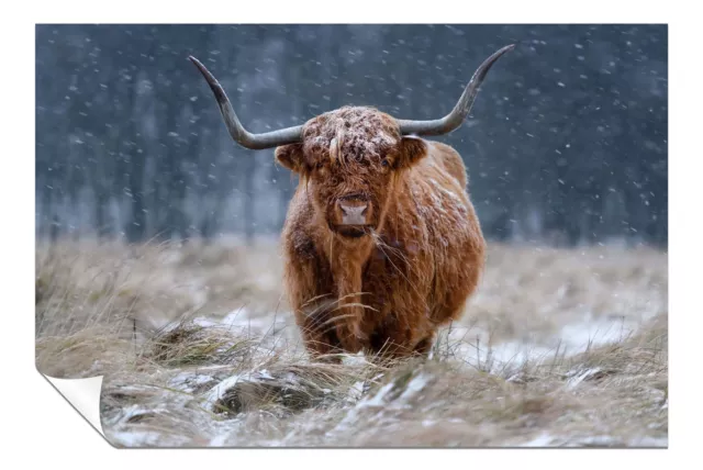 Brown Highland Cow in Snow Fields Artistic Poster Wall Art Home Decor