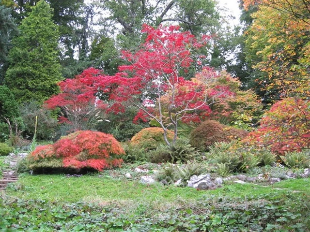 Photo 6x4 Autumn foliage at The Weir Gardens Canon Bridge  c2007