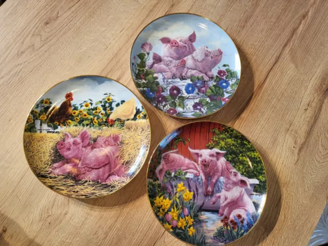 Hog/Pig Decorative Plates. Pigs In Bloom The Danbury Mint Collector's Plates