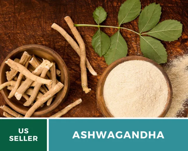 Ashwagandha - Indian Ginseng - Heirloom Seeds - Rare Medicinal Herb (Wit