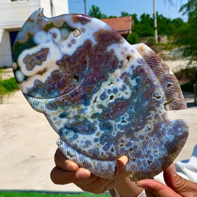 1.21LB Amazing Natural Ocean Jasper Crystal Carved Fish Jasper Halo Stone