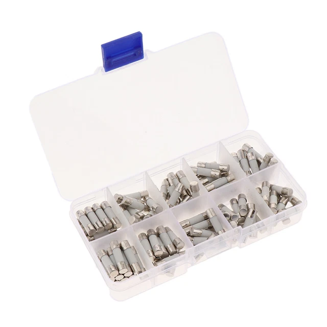 100 Pcs (5x20mm) 250V Kit De Fusible Tube En Verre Soufflé Rapide 0.5A - 30A