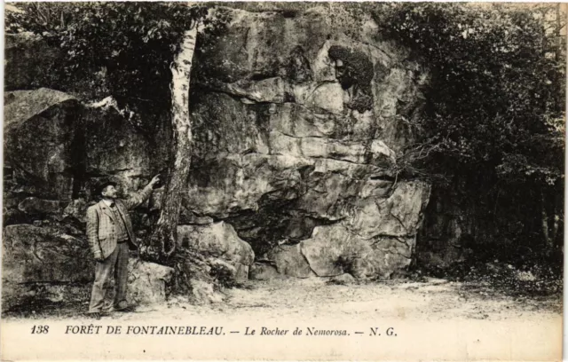 CPA Foret de FONTAINEBLEAU - La Rocher de Nemorosa (166741)