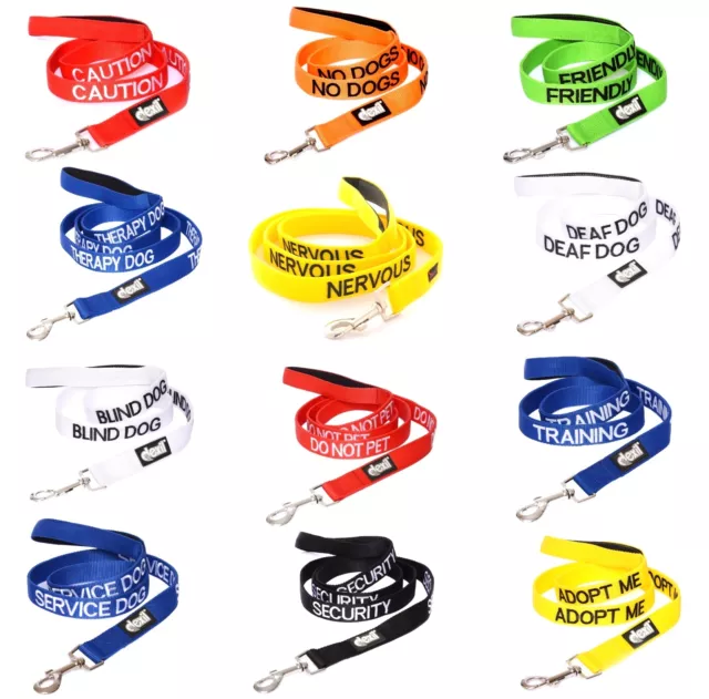 Strong As Leather Colour Coded S M XL Collar Or Lead By Friendly Dog Collars 2