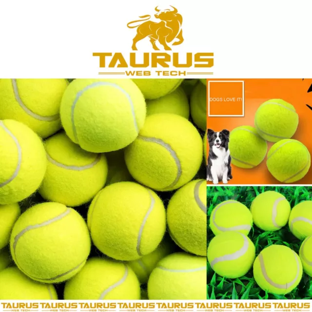 24X TENNIS BALLS Outdoor SPORTS Fun Dog Fetch TOY Play CRICKET Training Beach UK