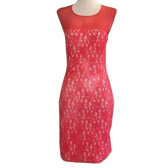 Diane Von Furstenberg Nisha Sleeveless Mesh Yoke Silk Embroidered Dress Size 8