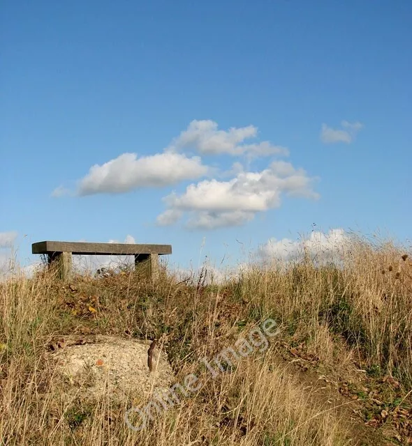 Photo 6x4 A quiet spot by the river Buckenham Seat on the south bank of t c2009