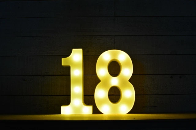 LED Light Up Alphabet Letter Standing Hanging Party Birthday Sign - 18