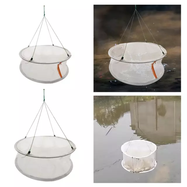 Filet de pêche plié, filet Durable pour écrevisses et crevettes, accessoires