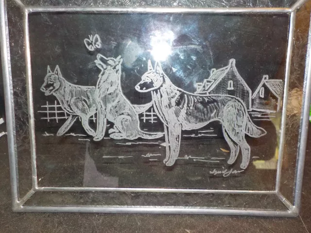 Belgian Malinois hand engraved  signed glass panel,,, stained glass border